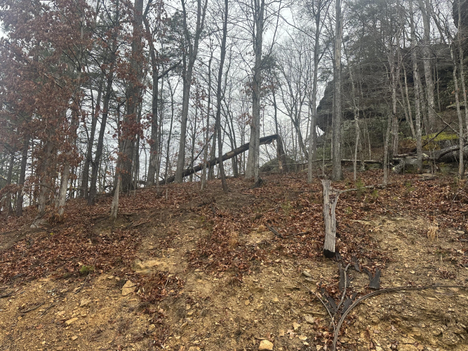 Listing Image 17