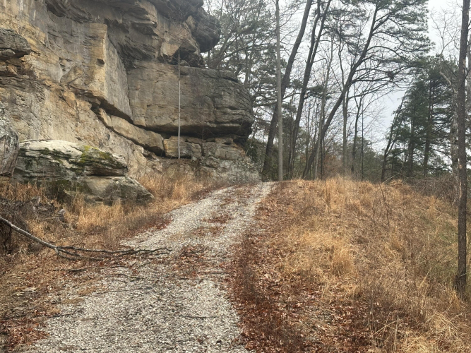 Listing Image 18