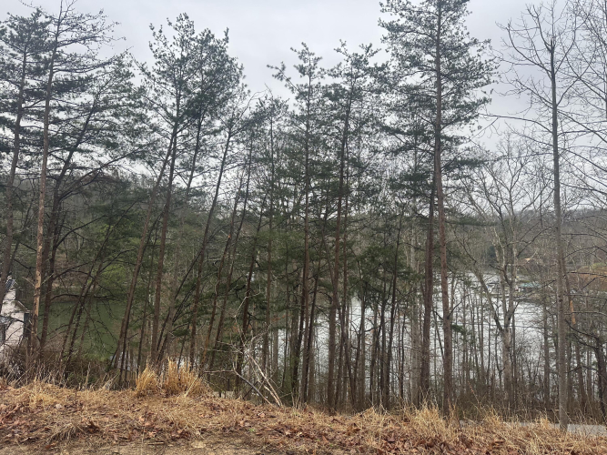 Listing Image 27