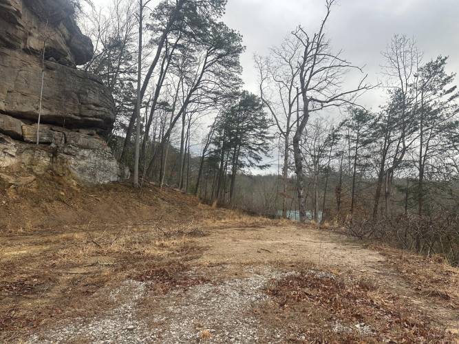 Listing Image 28