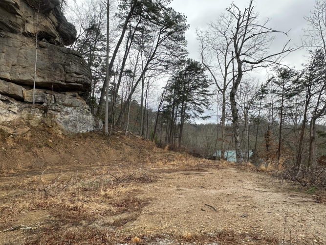 Listing Image 31