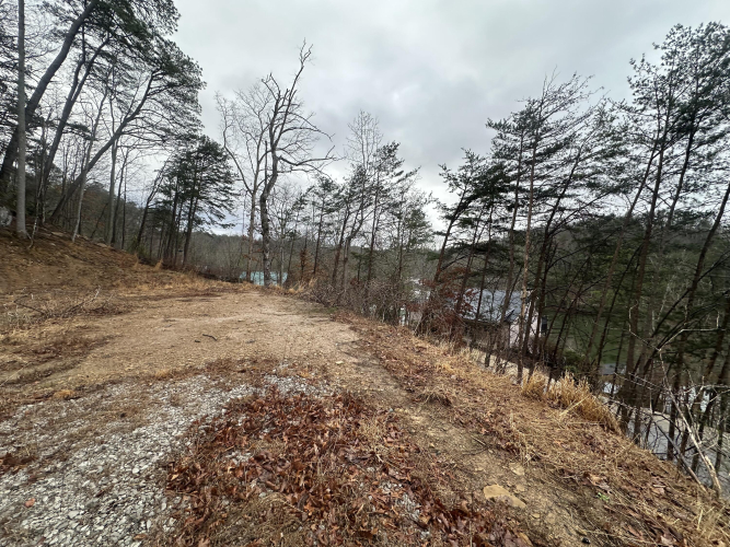 Listing Image 32