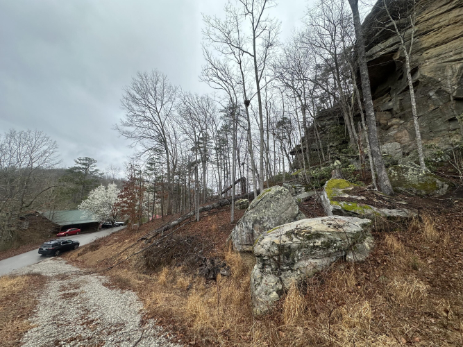 Listing Image 37