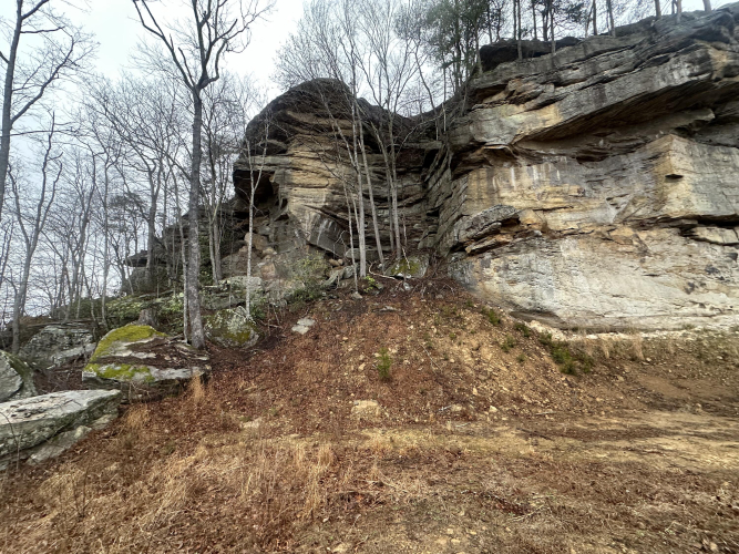 Listing Image 39
