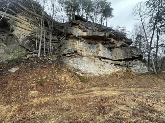 Listing Image 40