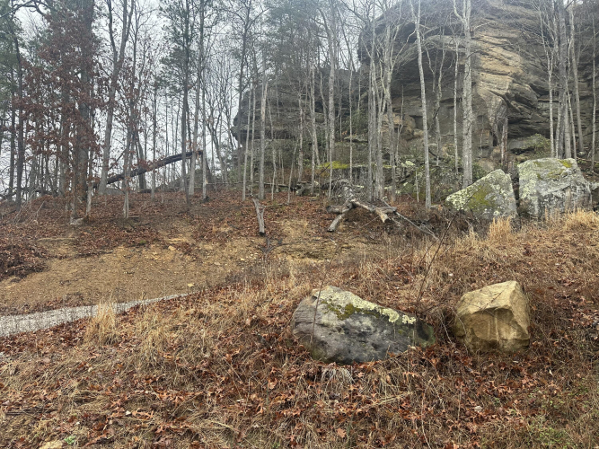 Listing Image 41