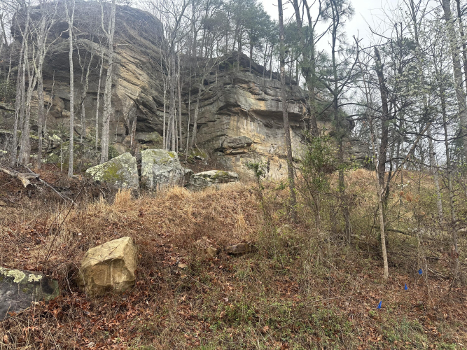Listing Image 42