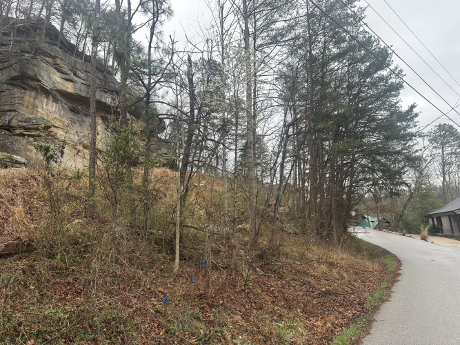 Listing Image 43