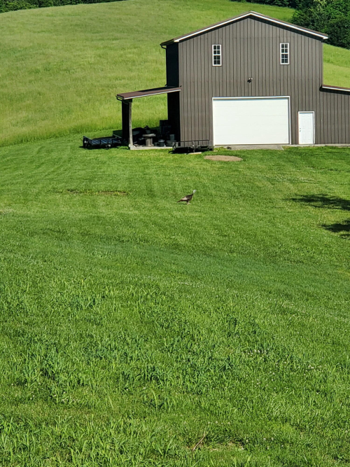 Listing Image 38