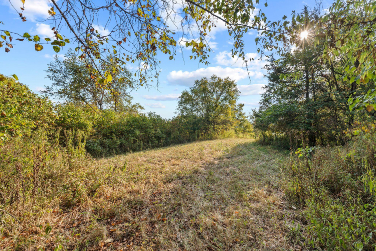 Listing Image 33