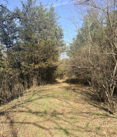 Listing Image 41