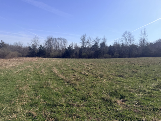 Listing Image 42