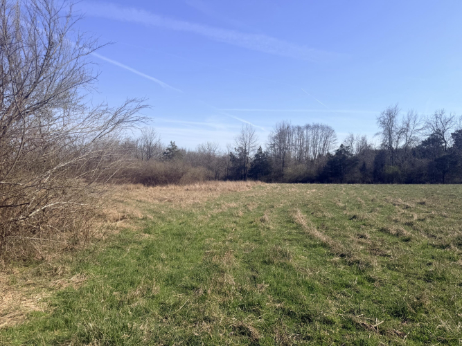 Listing Image 43