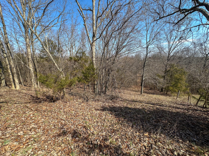 Listing Image 23