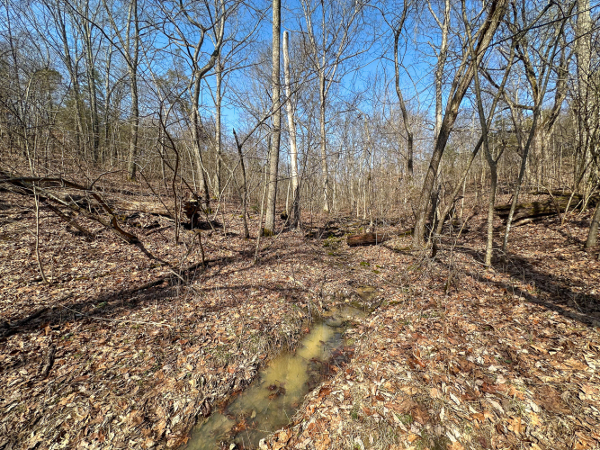 Listing Image 24