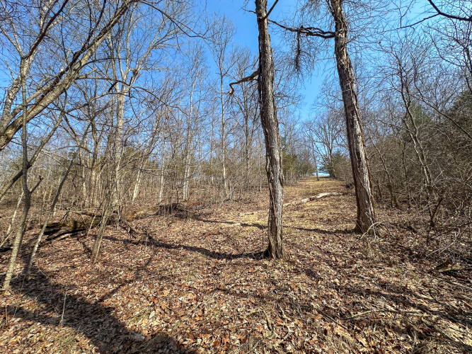 Listing Image 25