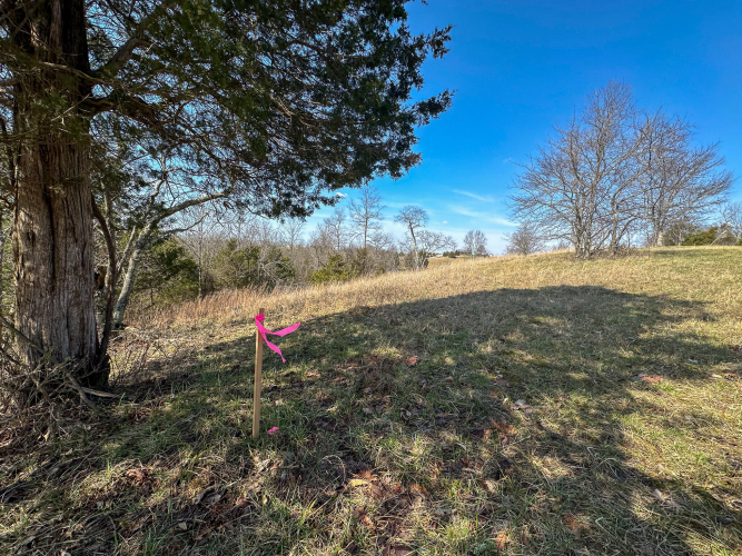Listing Image 27