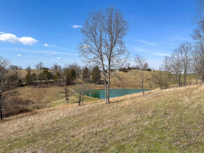 Listing Image 29