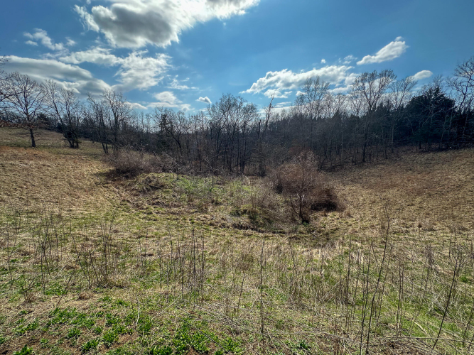 Listing Image 32
