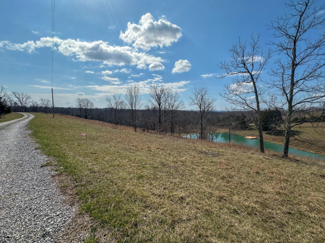 Listing Image 33