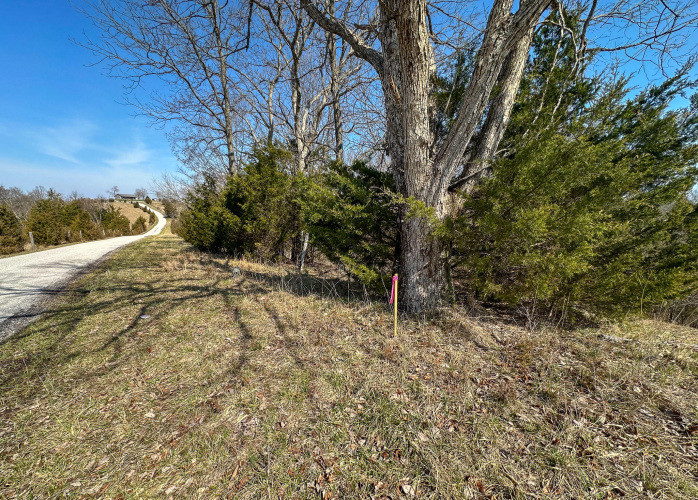 Listing Image 35