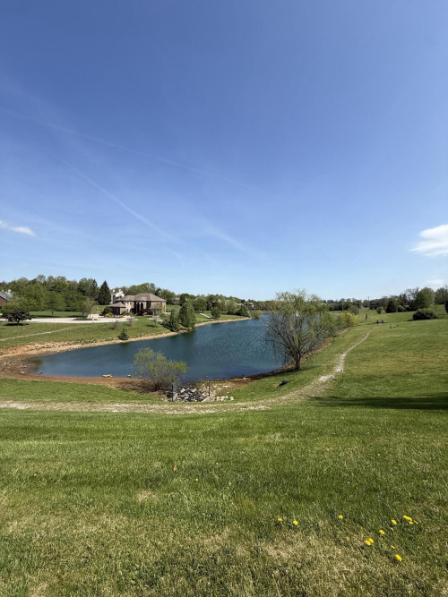 Listing Image 65