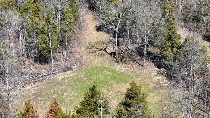 Listing Image 18