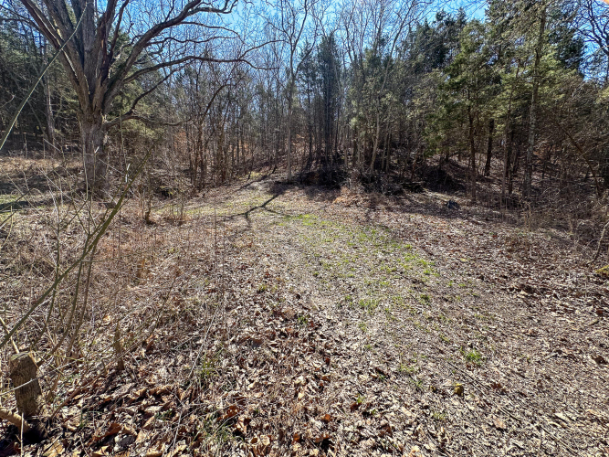 Listing Image 32