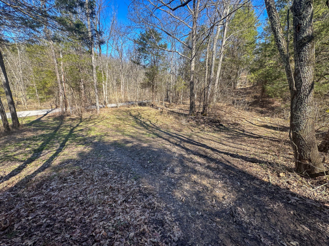 Listing Image 34