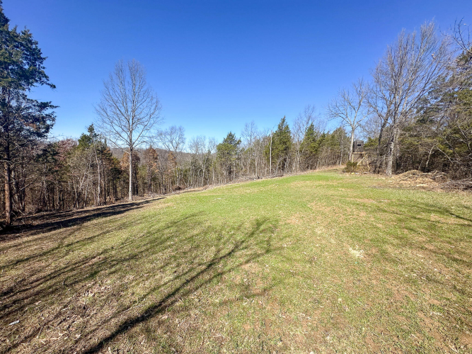 Listing Image 40