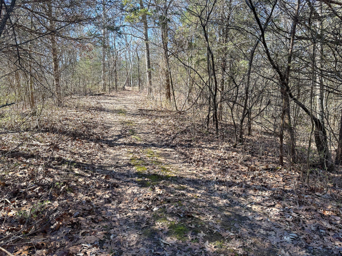 Listing Image 42