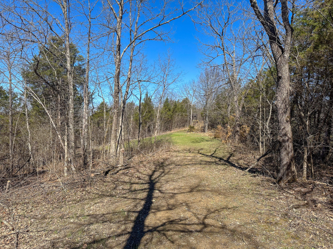 Listing Image 45