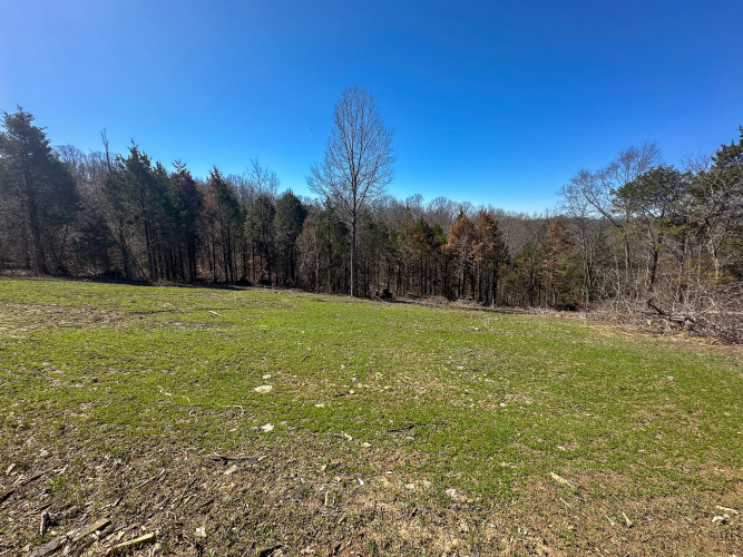 Listing Image 46