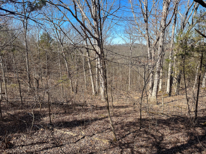 Listing Image 47