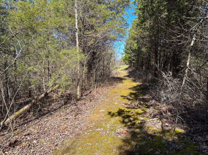 Listing Image 48