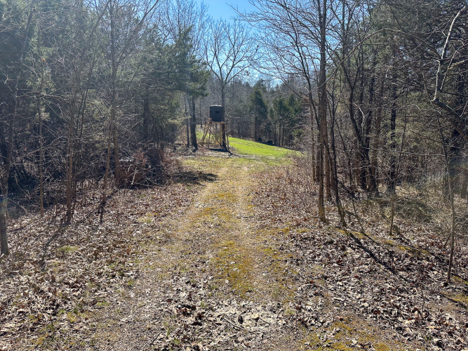 Listing Image 49