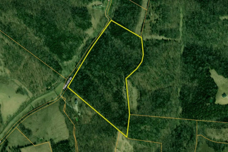 Listing Image 58