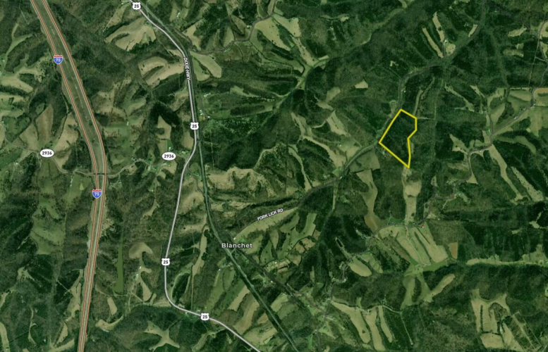 Listing Image 61