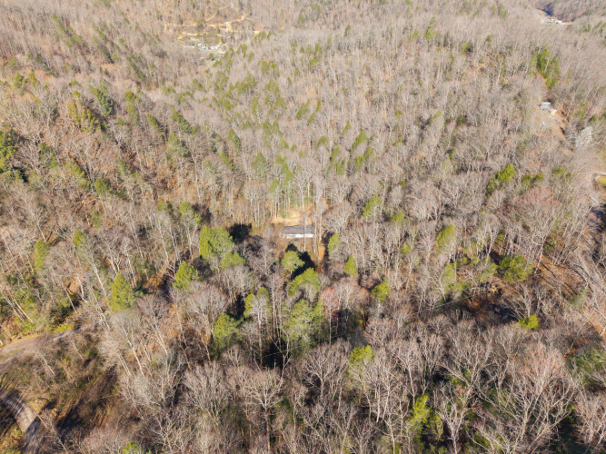 Listing Image 31