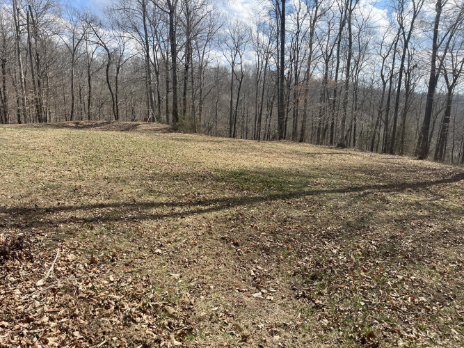 Listing Image 52