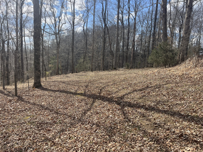 Listing Image 56