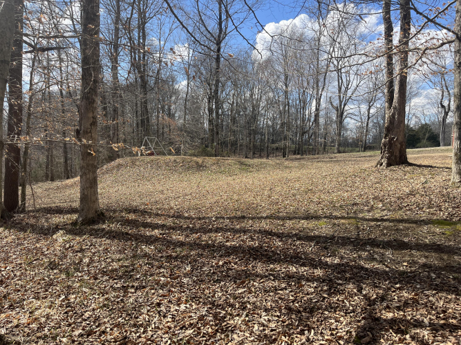 Listing Image 59