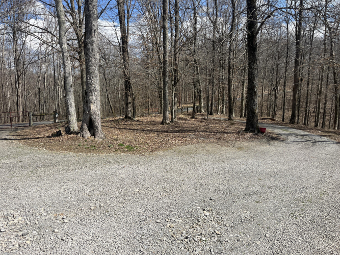 Listing Image 63