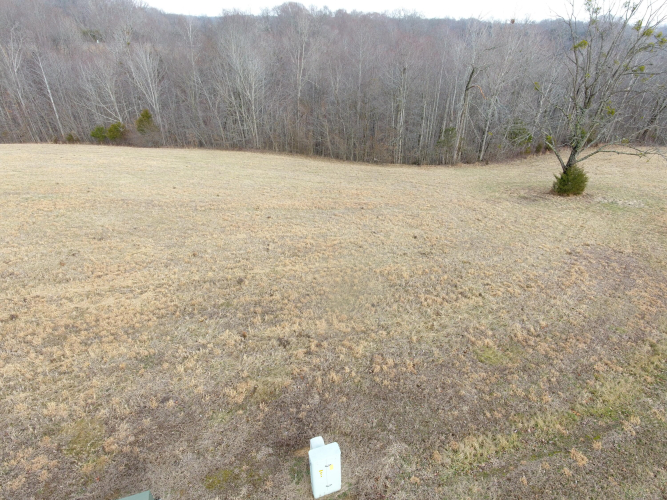 Listing Image 11