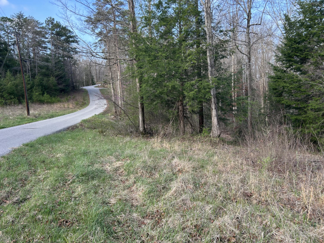 Listing Image 9