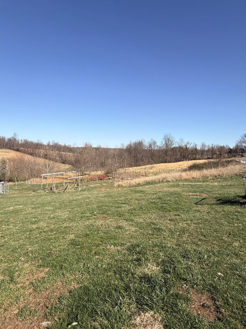 Listing Image 20