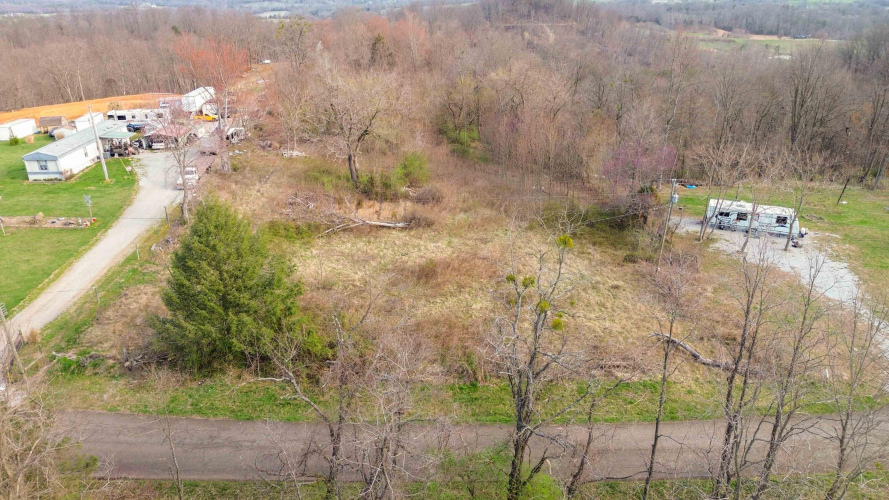 Listing Image 4