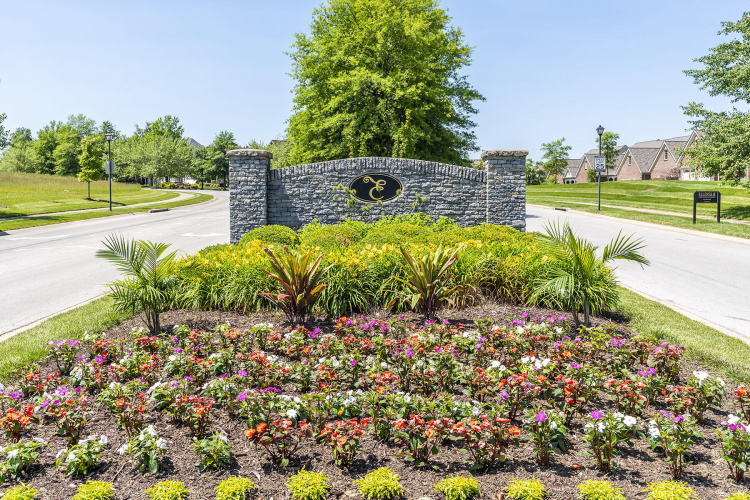 Listing Image 55