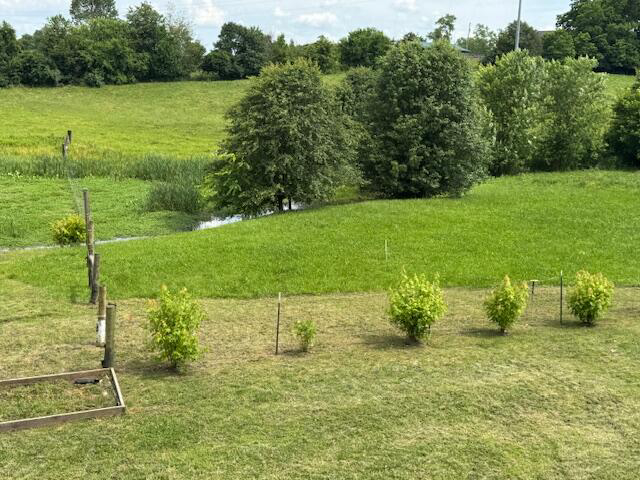 Listing Image 57