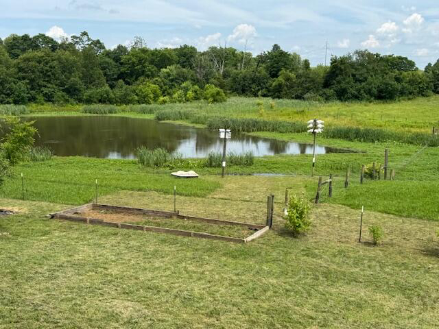 Listing Image 64